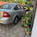 Ford Focus ST